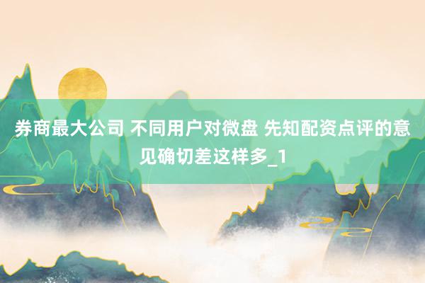 券商最大公司 不同用户对微盘 先知配资点评的意见确切差这样多_1
