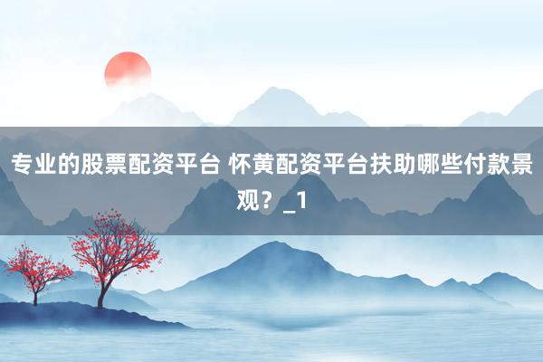 专业的股票配资平台 怀黄配资平台扶助哪些付款景观？_1