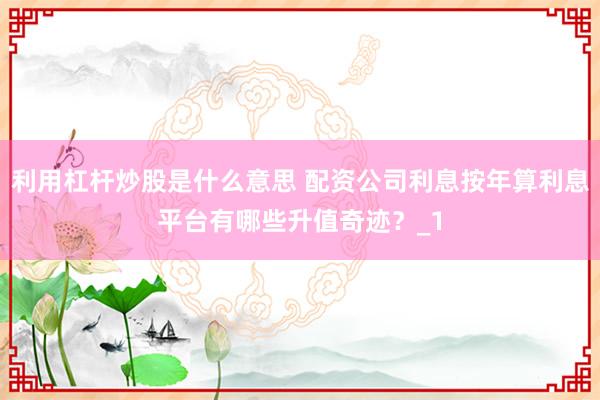 利用杠杆炒股是什么意思 配资公司利息按年算利息平台有哪些升值奇迹？_1